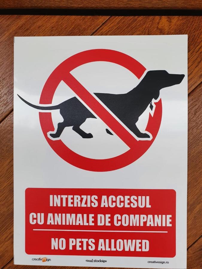 Casa Saga Hotel Gura Humorului Kültér fotó